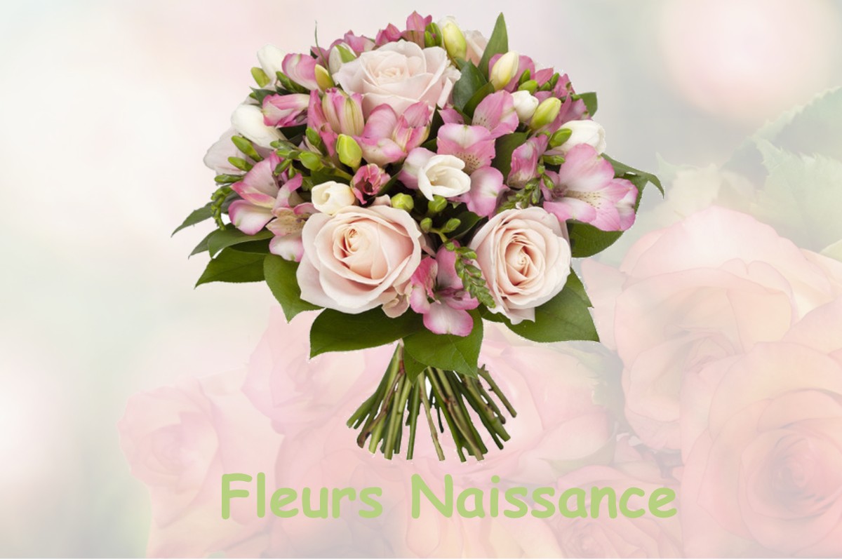 fleurs naissance SAINT-LAURENT-DE-CERDANS